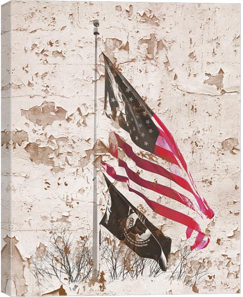 Washington DC Flags Canvas Print by Cliff Kramer