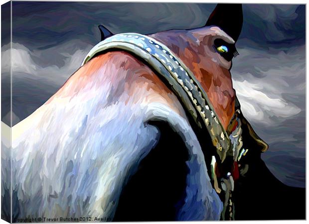 Storm Horse Canvas Print by Trevor Butcher