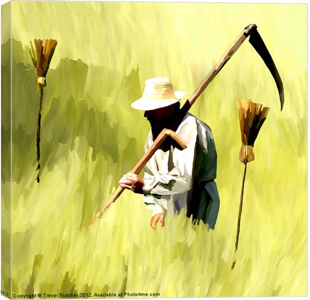 One Man Went to Mow Canvas Print by Trevor Butcher