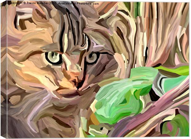  Cat in the Grass Canvas Print by Trevor Butcher
