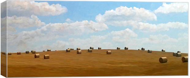  Bale Hill in Summer Canvas Print by Trevor Butcher