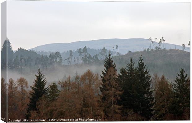 tree line Canvas Print by allan somerville