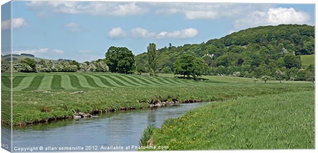 striped field Canvas Print by allan somerville