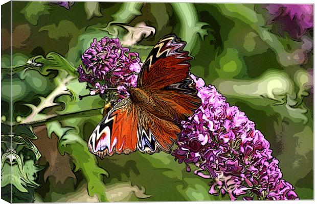 butterfly on buddleia Canvas Print by allan somerville