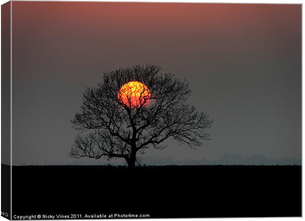The Lone Tree Canvas Print by Nicky Vines