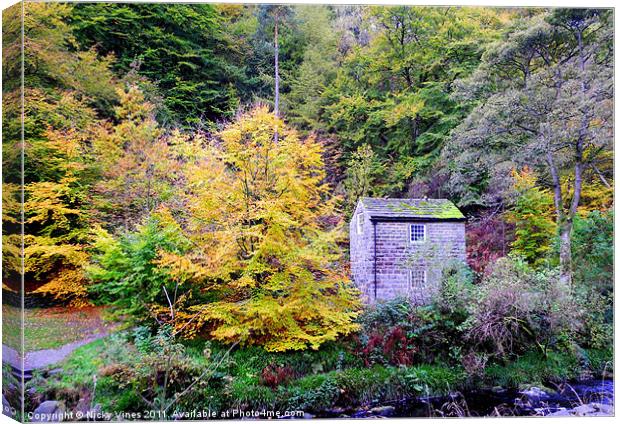 Hardcastle Crags Canvas Print by Nicky Vines