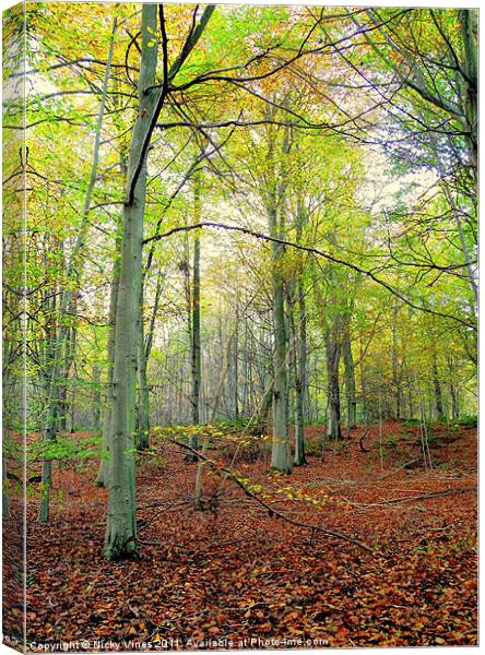 Autumn wood Canvas Print by Nicky Vines