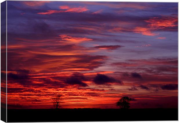 Autumn sunset Canvas Print by Nicky Vines