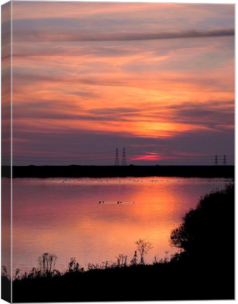Dungeness sunset Canvas Print by Nicky Vines
