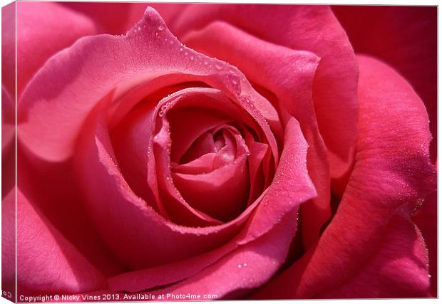Rose Tears Canvas Print by Nicky Vines