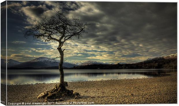 Lone tree Loch Lomond Canvas Print by Paul Messenger