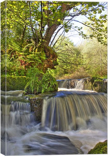 Water fall in Scotland Canvas Print by Paul Messenger