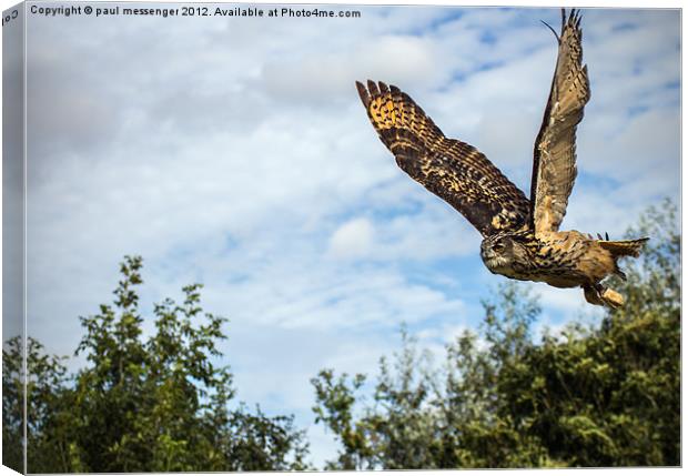 Turkmanian Eagle Owl Canvas Print by Paul Messenger