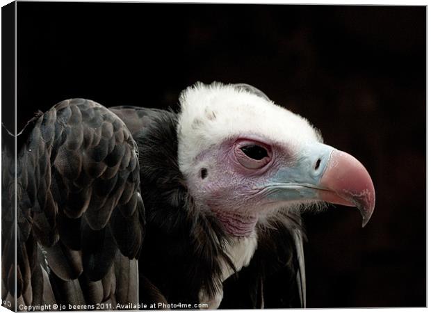 what is for dinner? Canvas Print by Jo Beerens