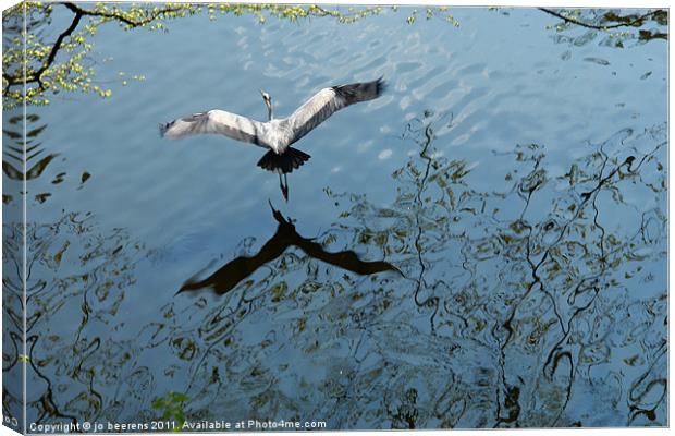 in flight Canvas Print by Jo Beerens