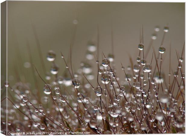 drops Canvas Print by Jo Beerens