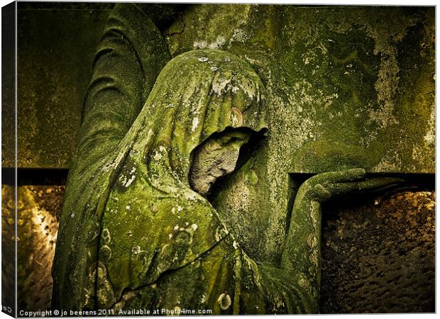 mossy mourner Canvas Print by Jo Beerens