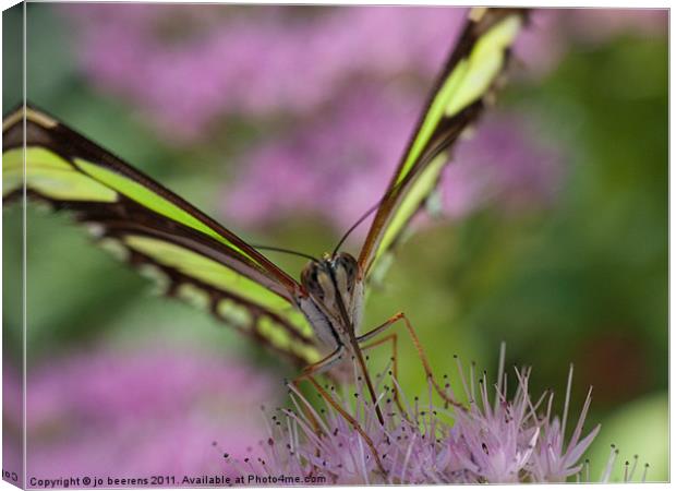 tongue in flower Canvas Print by Jo Beerens