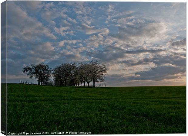 the grass is greener on the other side Canvas Print by Jo Beerens