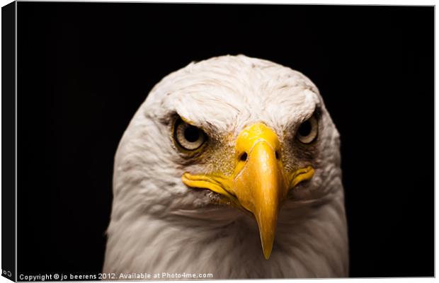 eagle eyed Canvas Print by Jo Beerens