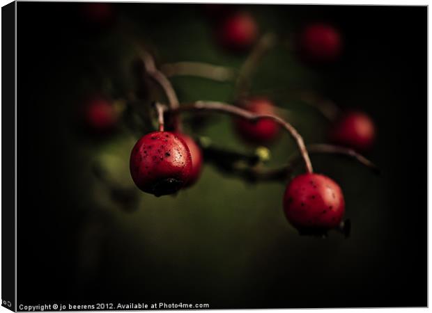 red berries Canvas Print by Jo Beerens