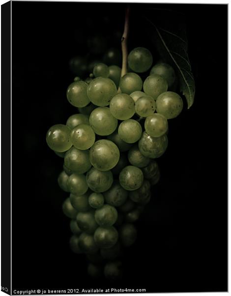 grapes Canvas Print by Jo Beerens