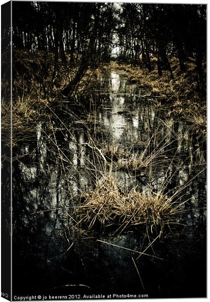 peat land Canvas Print by Jo Beerens