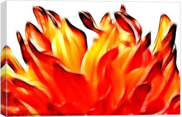 dahlia on fire Canvas Print by Jo Beerens