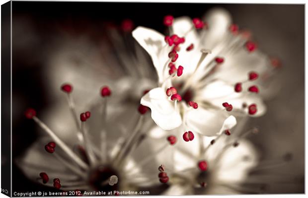 business is blooming Canvas Print by Jo Beerens