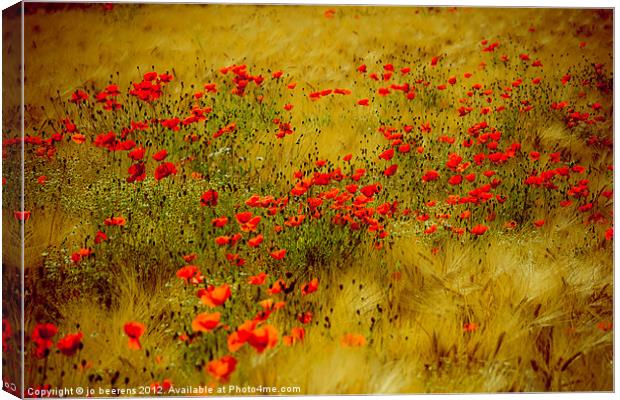 dots of red Canvas Print by Jo Beerens