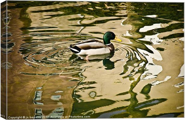 canard a l'abstract Canvas Print by Jo Beerens