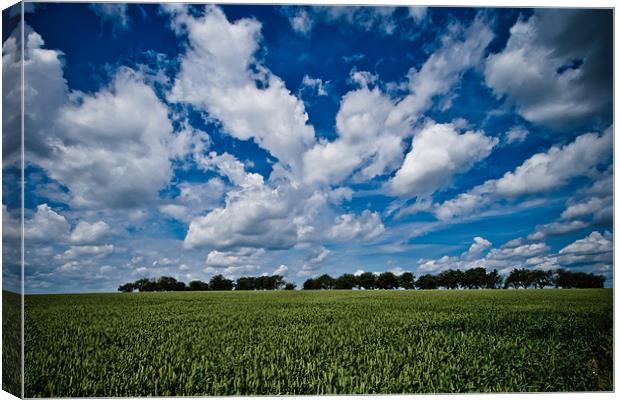 on the border Canvas Print by Jo Beerens