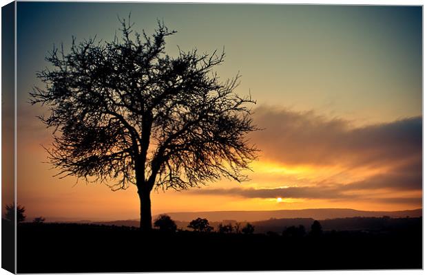 december sunset Canvas Print by Jo Beerens