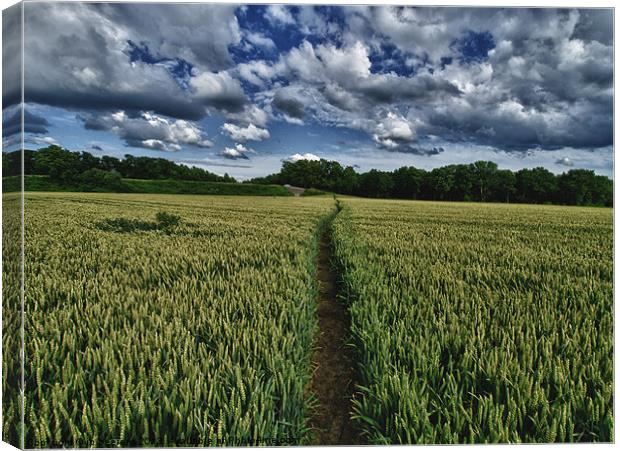 a straight path Canvas Print by Jo Beerens