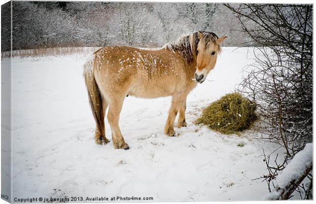 lunch time Canvas Print by Jo Beerens