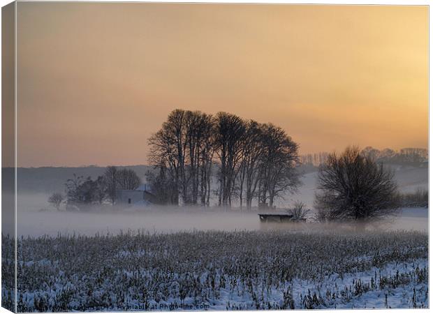 mist above the snow Canvas Print by Jo Beerens
