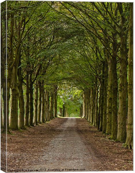 castle driveway Canvas Print by Jo Beerens