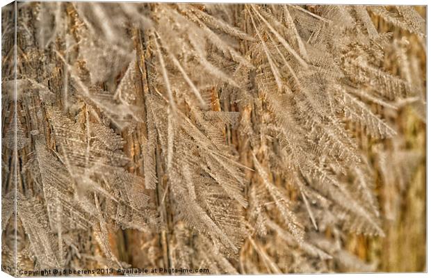 feathery frost Canvas Print by Jo Beerens