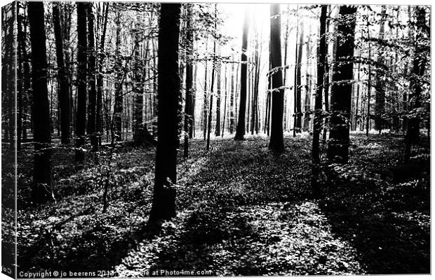 the dark forest Canvas Print by Jo Beerens
