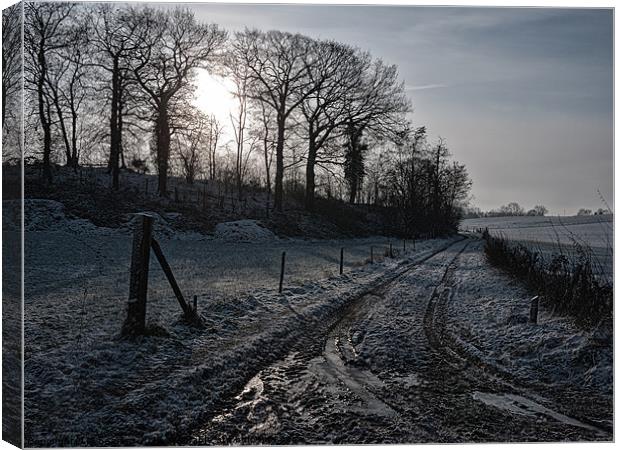 winter trail Canvas Print by Jo Beerens