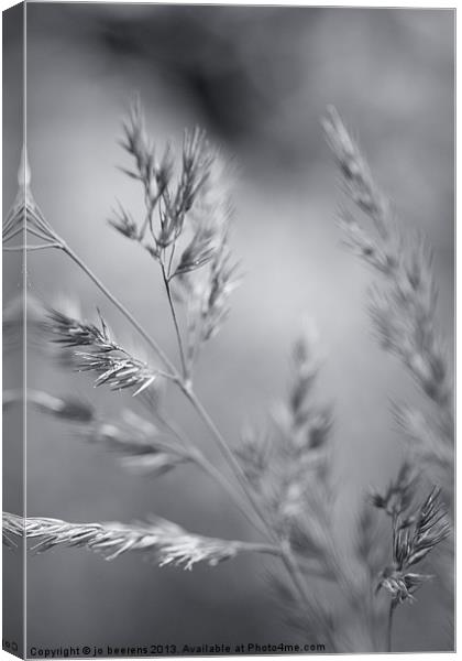 dancing in the wind Canvas Print by Jo Beerens