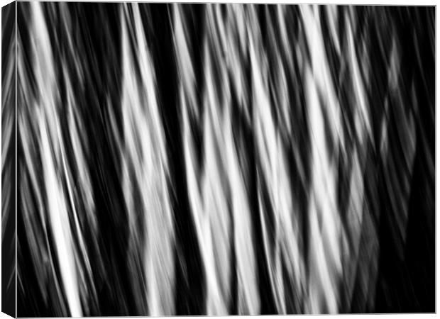 movement two Canvas Print by Jo Beerens