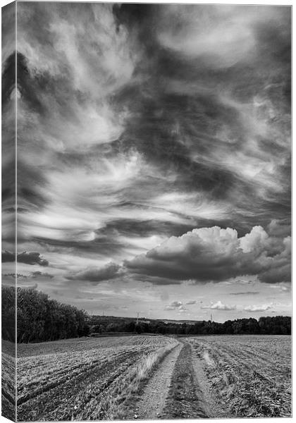 cloudy skies Canvas Print by Jo Beerens