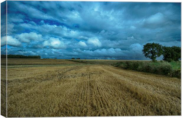 after the harvest Canvas Print by Jo Beerens