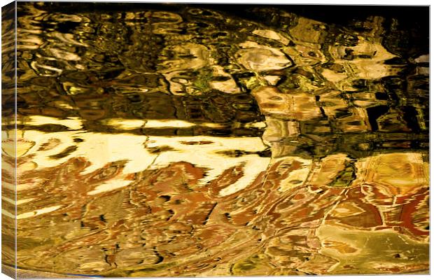 distorted reflection Canvas Print by Jo Beerens