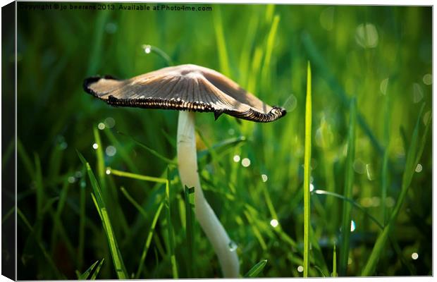 mushroom in the grass Canvas Print by Jo Beerens