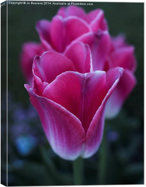 row of tulips Canvas Print by Jo Beerens