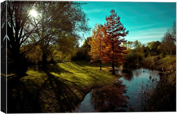 fall light Canvas Print by Jo Beerens