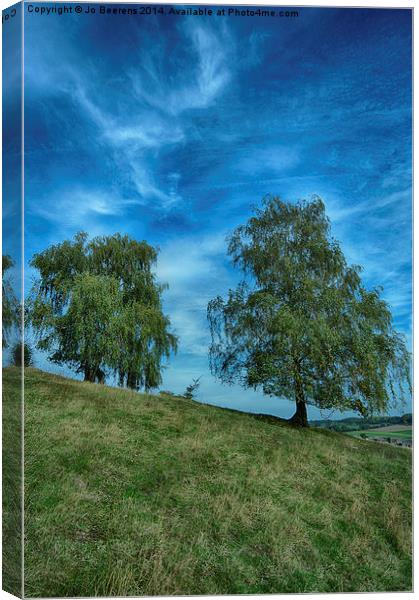 hillside birch trees Canvas Print by Jo Beerens
