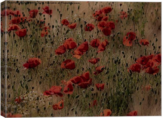 poppy field without planes Canvas Print by Jo Beerens